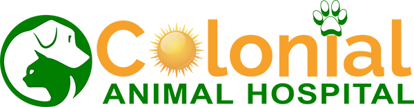 logo (1)