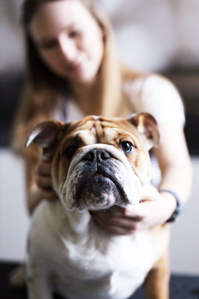 Treeline Animal Hospital